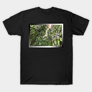 Secrets: The Architecture of Doubt T-Shirt